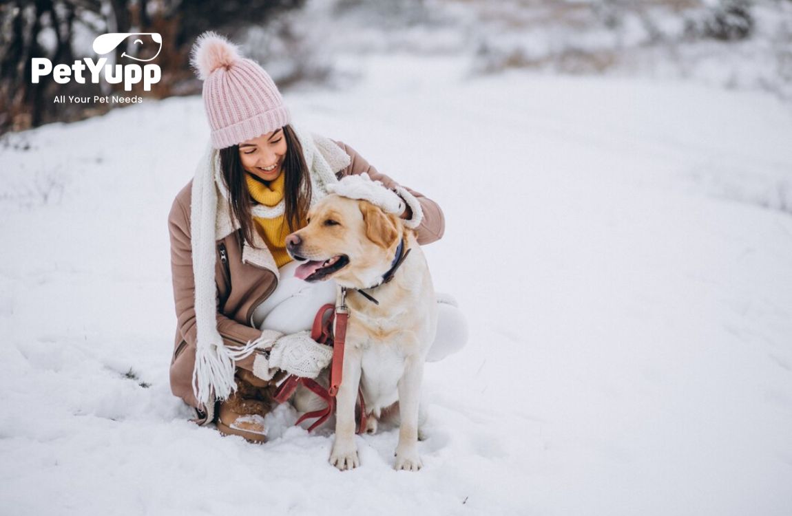 Dog friendly winter store vacations