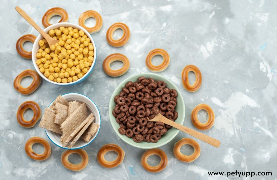 Easy Homemade Dog Treats Recipe