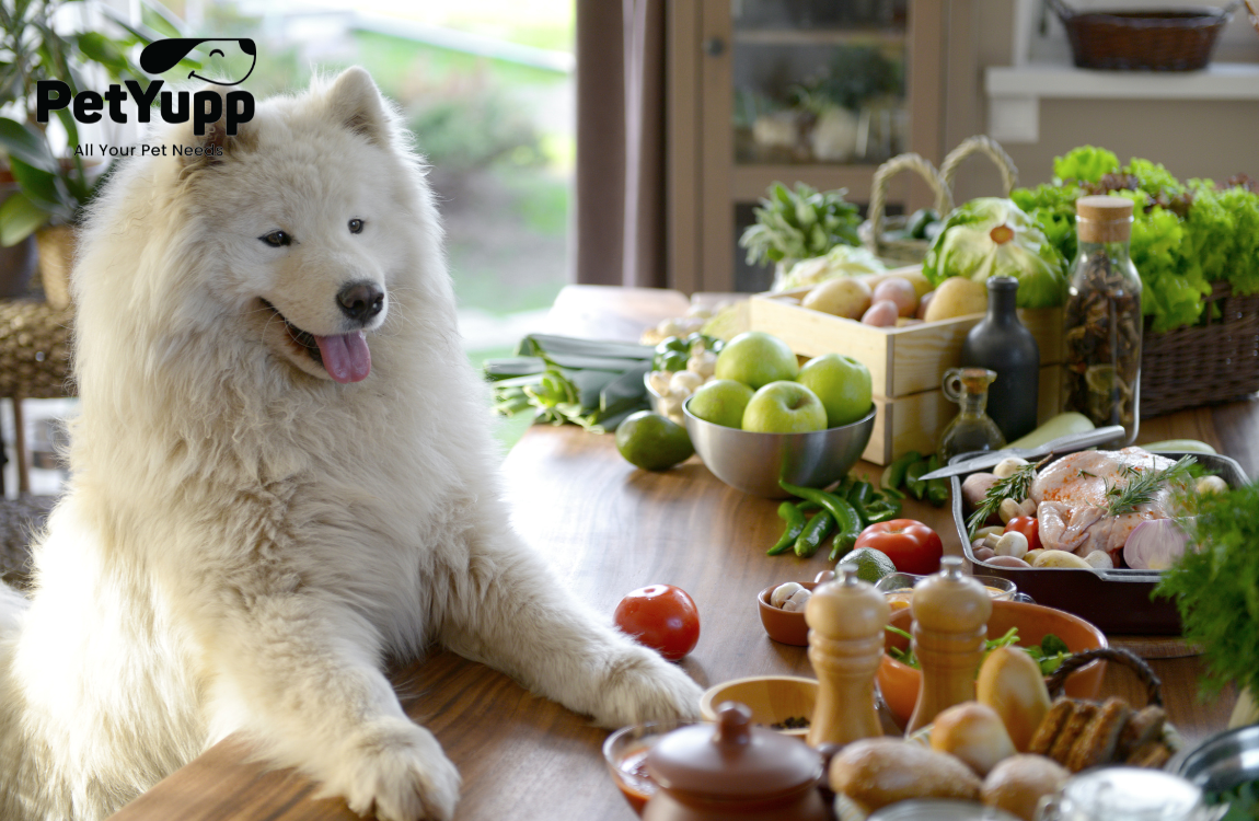 How to Add Fiber to Your Dog’s Diet