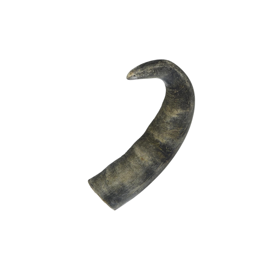 Premium Free Range & Grass Fed Buffalo Horns