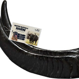 Water Buffalo Horns Dog Chew - Pack of 2 - Large Size