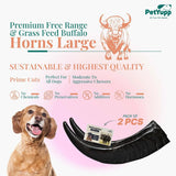 Water Buffalo Horns Dog Chew - Pack of 2 - Large Size