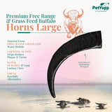 Water Buffalo Horns Dog Chew - Pack of 2 - Large Size