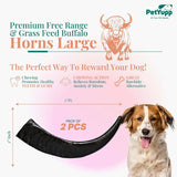 Water Buffalo Horns Dog Chew - Pack of 2 - Large Size