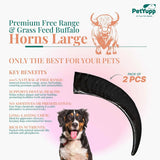 Water Buffalo Horns Dog Chew - Pack of 2 - Large Size