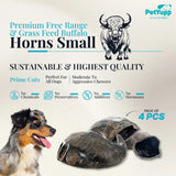 Water Buffalo Horns Dog Chew - Pack of 4 - Small Size