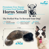 Water Buffalo Horns Dog Chew - Pack of 4 - Small Size