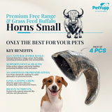 Water Buffalo Horns Dog Chew - Pack of 4 - Small Size