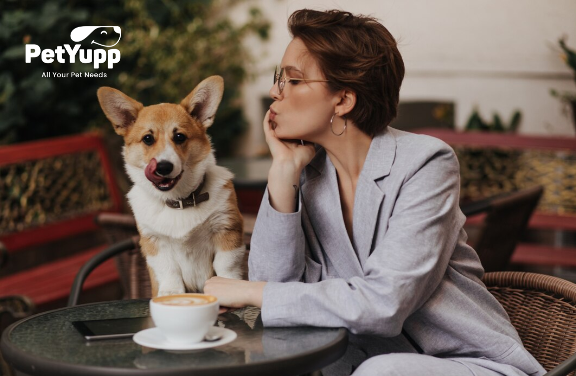 Best Dog Friendly Coffee Shops