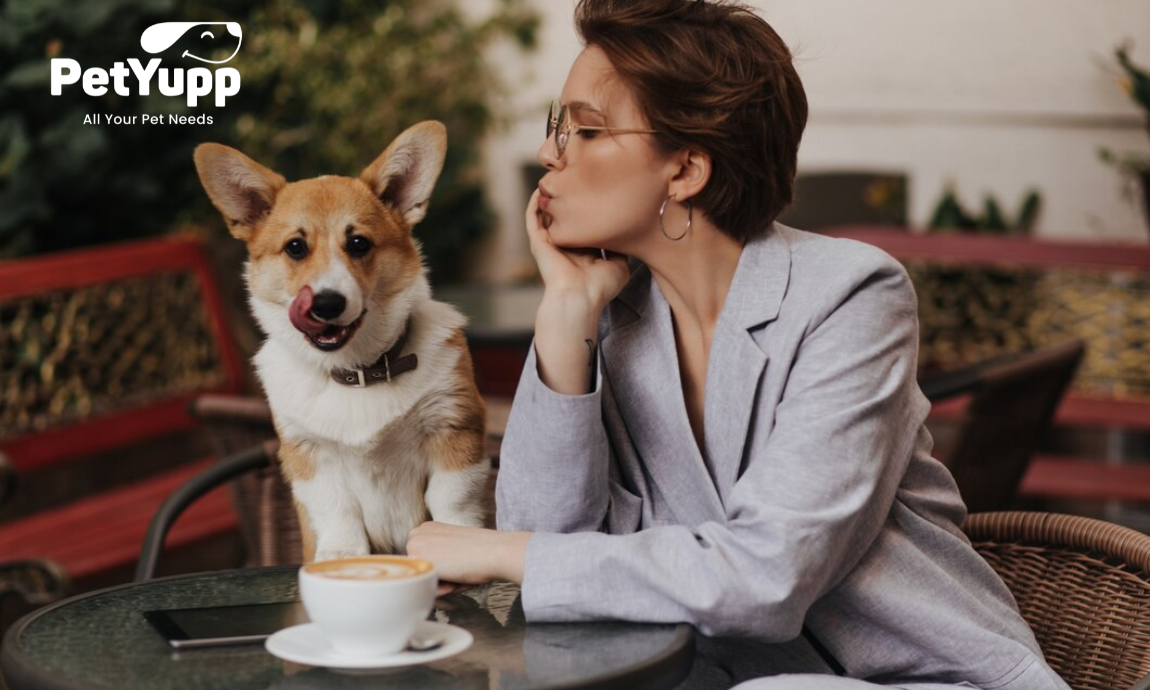 Best Dog Friendly Coffee Shops