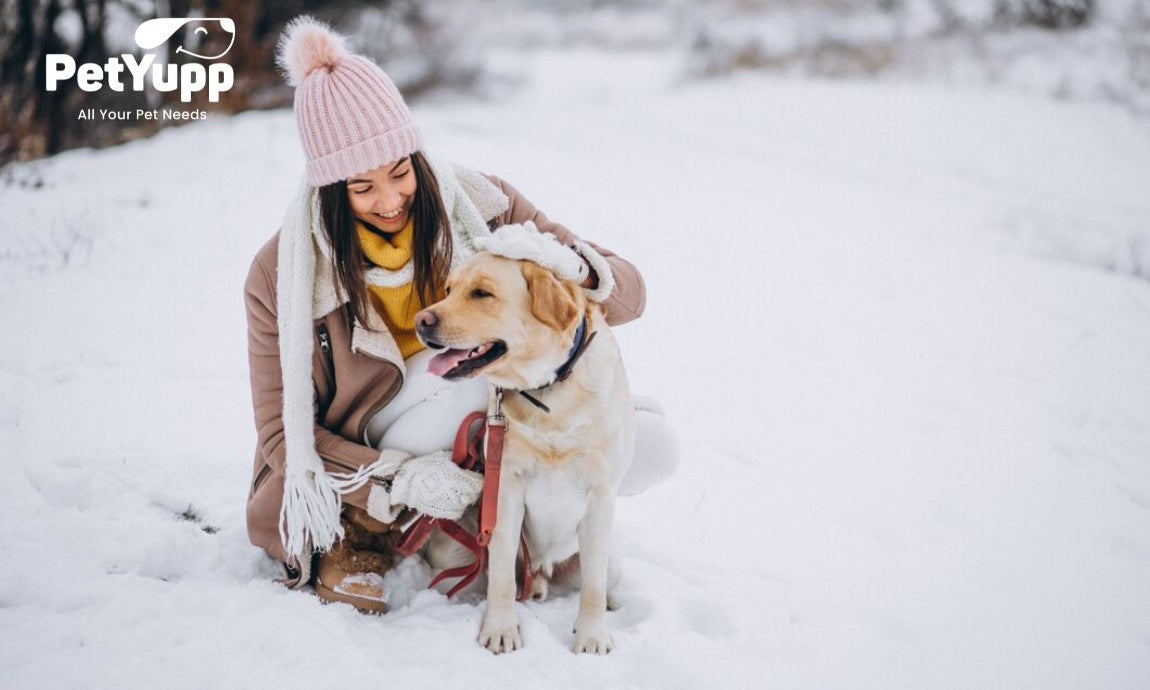 Best Dog Friendly Winter Vacations