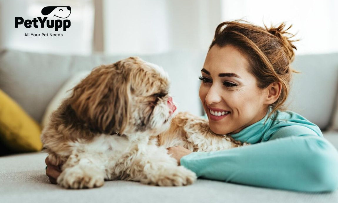 How to Teach a Dog Their Name?