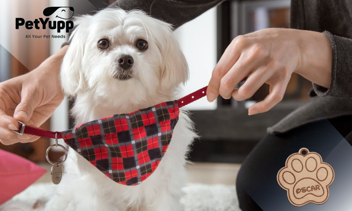 Pet ID Tags