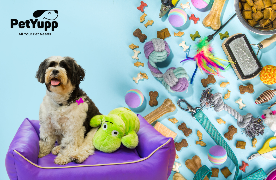 What are the Most Eco-Friendly Pet Products?