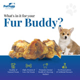 100% Natural Water Buffalo Knee Caps with Meat Dog Treats - Pack of 10