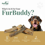 100% Natural Water Buffalo Rib Bone with Meat Dog Chew - Pack of 5