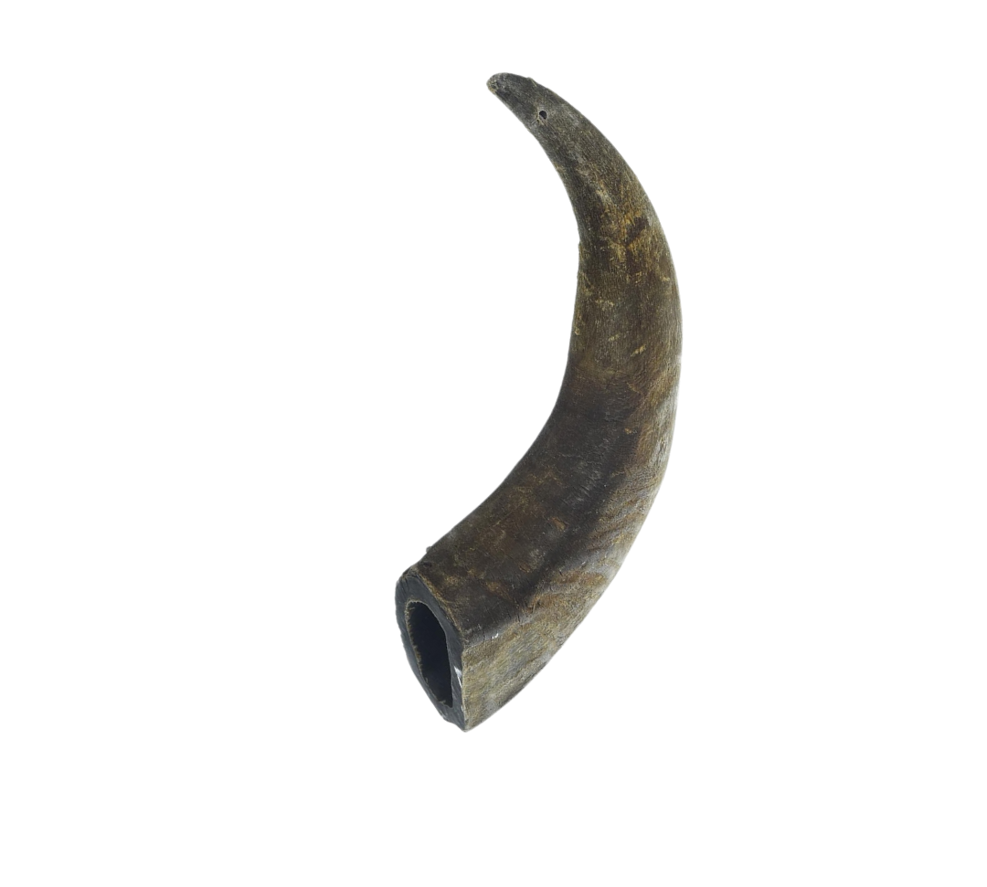 Premium Free Range & Grass Fed Buffalo Horns