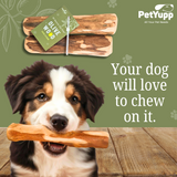 Natural Repurposed Olive Woods Dog Chew - Medium