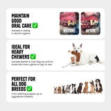 Natural Extra Tuff Toss & Chew Dog Toy - Boomerang