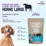 Water Buffalo Horns Dog Chew - Pack of 2 - Large Size