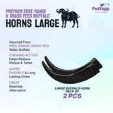 Water Buffalo Horns Dog Chew - Pack of 2 - Large Size