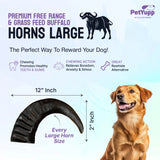 Water Buffalo Horns Dog Chew - Pack of 2 - Large Size