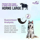 Water Buffalo Horns Dog Chew - Pack of 2 - Large Size