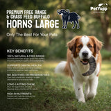 Water Buffalo Horns Dog Chew - Pack of 2 - Large Size