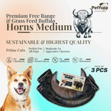 Water Buffalo Horns Dog Chew - Pack of 3 - Medium Size