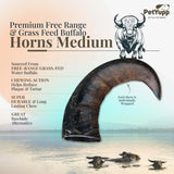 Water Buffalo Horns Dog Chew - Pack of 3 - Medium Size
