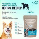 Water Buffalo Horns Dog Chew - Pack of 3 - Medium Size
