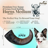 Water Buffalo Horns Dog Chew - Pack of 3 - Medium Size