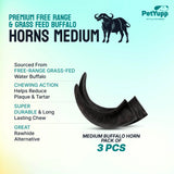 Water Buffalo Horns Dog Chew - Pack of 3 - Medium Size