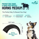 Water Buffalo Horns Dog Chew - Pack of 3 - Medium Size