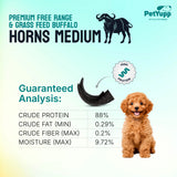 Water Buffalo Horns Dog Chew - Pack of 3 - Medium Size