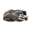 files/BuffaloHornSmall-01.webp