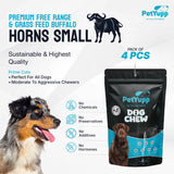 Water Buffalo Horns Dog Chew - Pack of 4 - Small Size