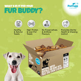 Bulk Dog Treats -  Natural Water Buffalo Rib Bone with Meat Dog Chew - Pack of 25 pcs