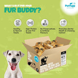 Bulk Dog Treats -  Natural Water Buffalo Rib Bone with Meat Dog Chew - Pack of 25 pcs