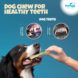 Dog Bulk Treats - 100% Natural Water Buffalo Cheek Chips Dog Chew - Pack of 40 pcs