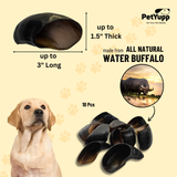 Water Buffalo Hooves Dog Chew - 100% Natural, No Artificial Color & Flavor - 10 pcs