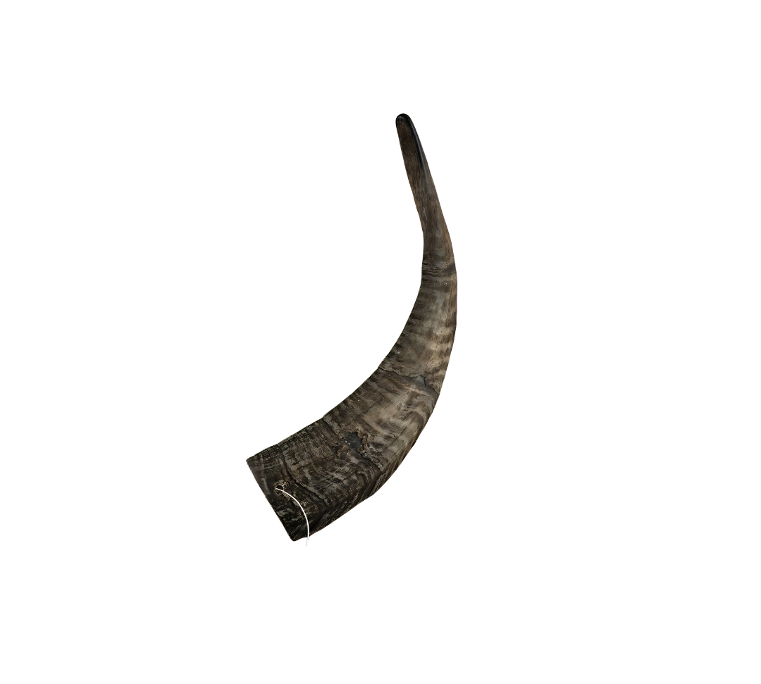 Golden Goat Horn All Natural Dog Chew - 1 Pc