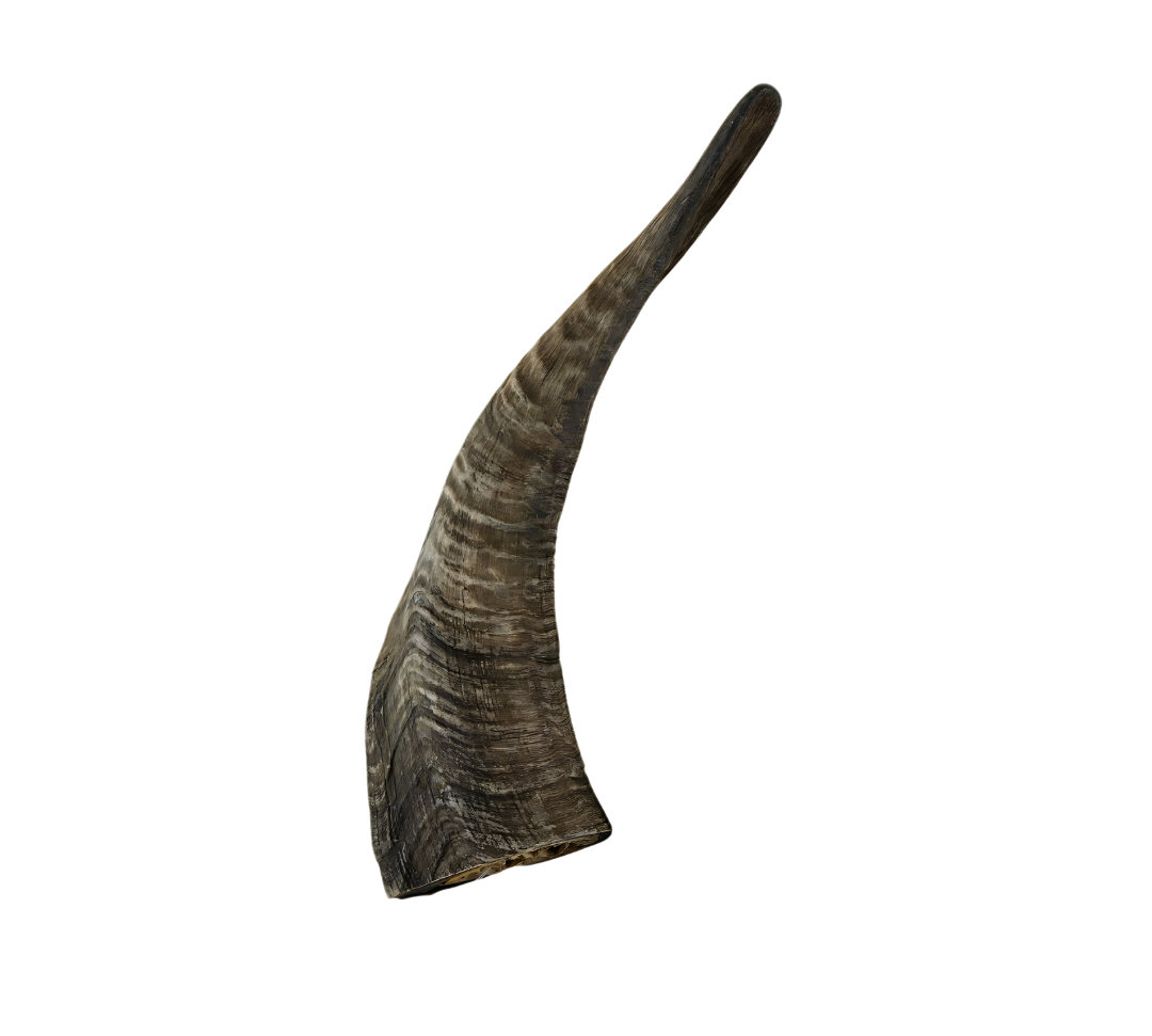 Golden Goat Horn All Natural Dog Chew - 1 Pc