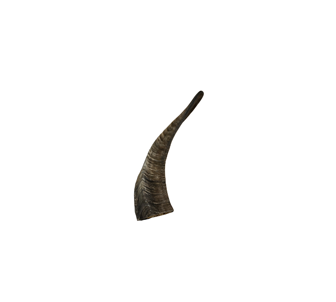 Golden Goat Horn All Natural Dog Chew - 1 Pc