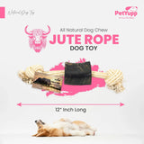 12" Cotton / Jute Rope Tug Toy with Buffalo Horn (Small)