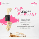 12" Cotton / Jute Rope Tug Toy with Buffalo Horn (Small)