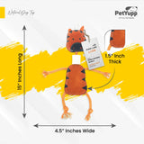 Retrieve & Chew Dog Toy  with Natural Bone - Lion