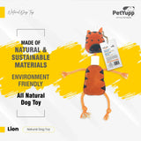 Retrieve & Chew Dog Toy  with Natural Bone - Lion