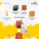 Retrieve & Chew Dog Toy  with Natural Bone - Lion