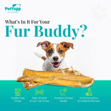 100% Natural Water Buffalo Paddywack Dog Chews - Pack of 6
